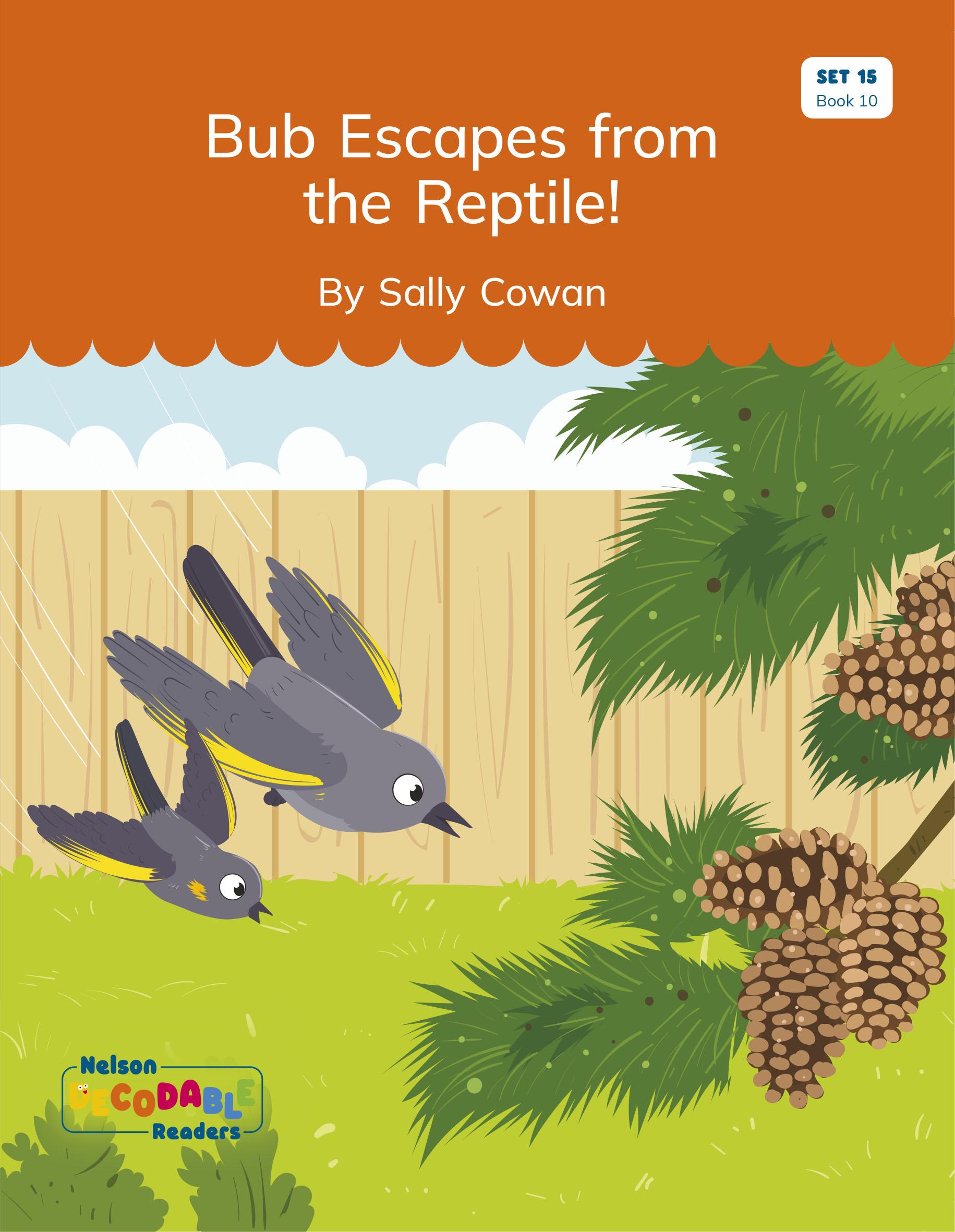 This is the cover for a book in the Nelson Decodable Readers series. It is called ‘Bub escapes from the Reptile!’ and shows 2 birds flying quickly in a backyard.